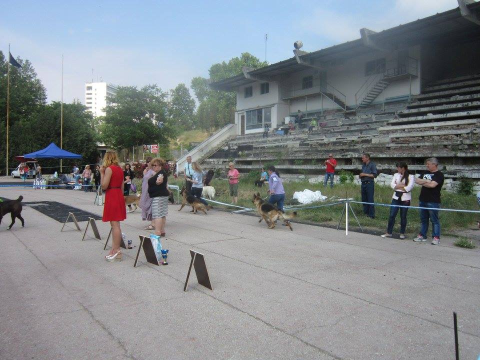 29.05.2016_СКОР_Севастополь_7.jpg