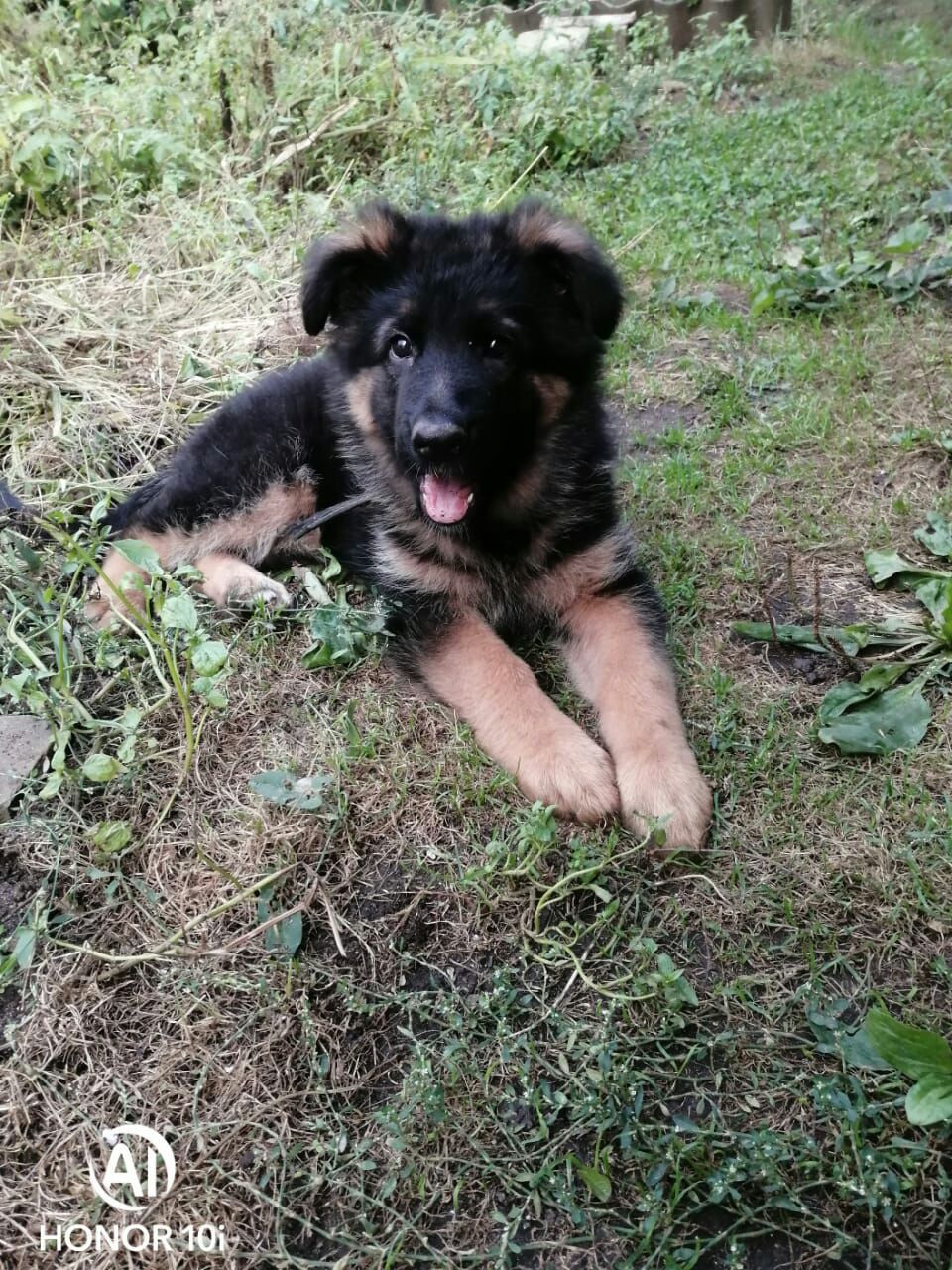 2_month_Hedda.jpg