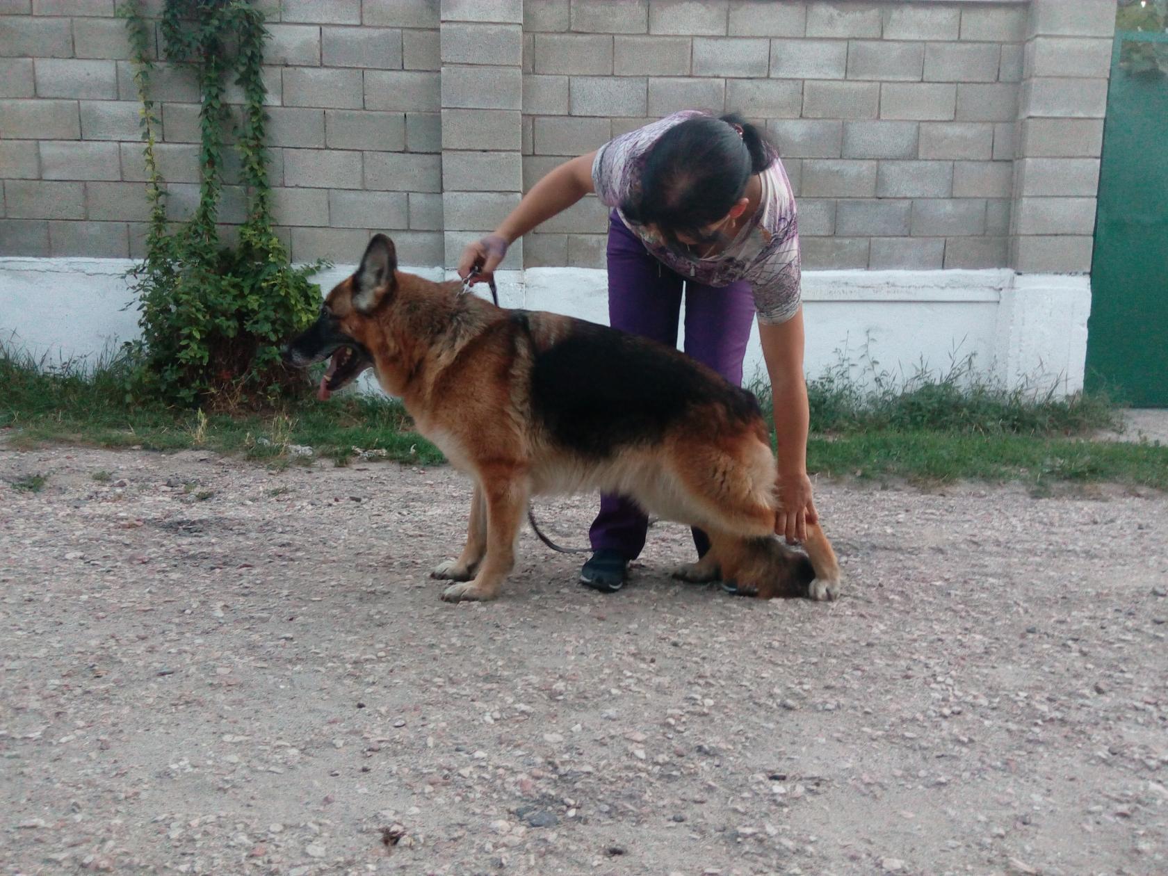 8_лет_2.jpg