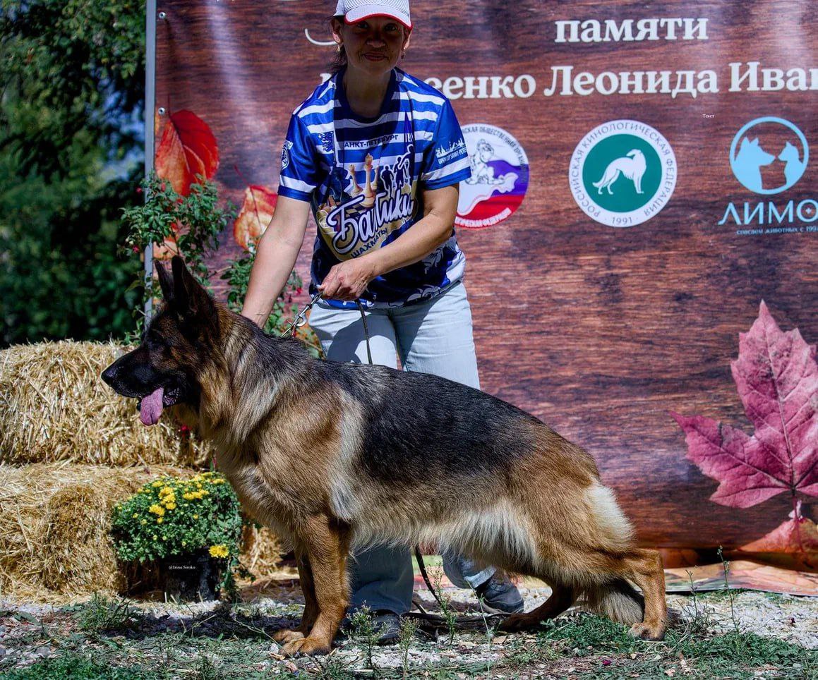 9.09.25_Симферополь_Цезия_стойка.jpg