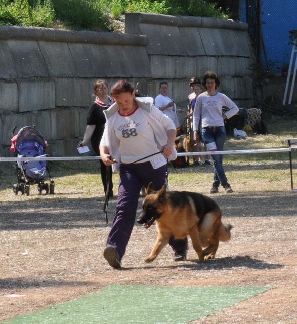 DSC_0322.JPG