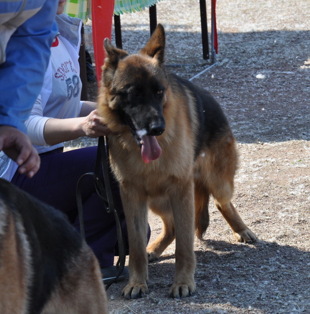 DSC_0357.JPG