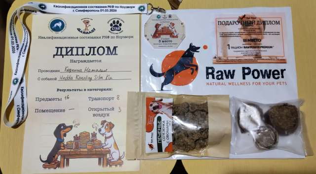 IMG_20260808_140507.png