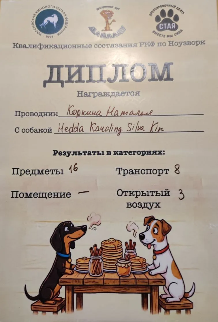 IMG_20260808_140519.png