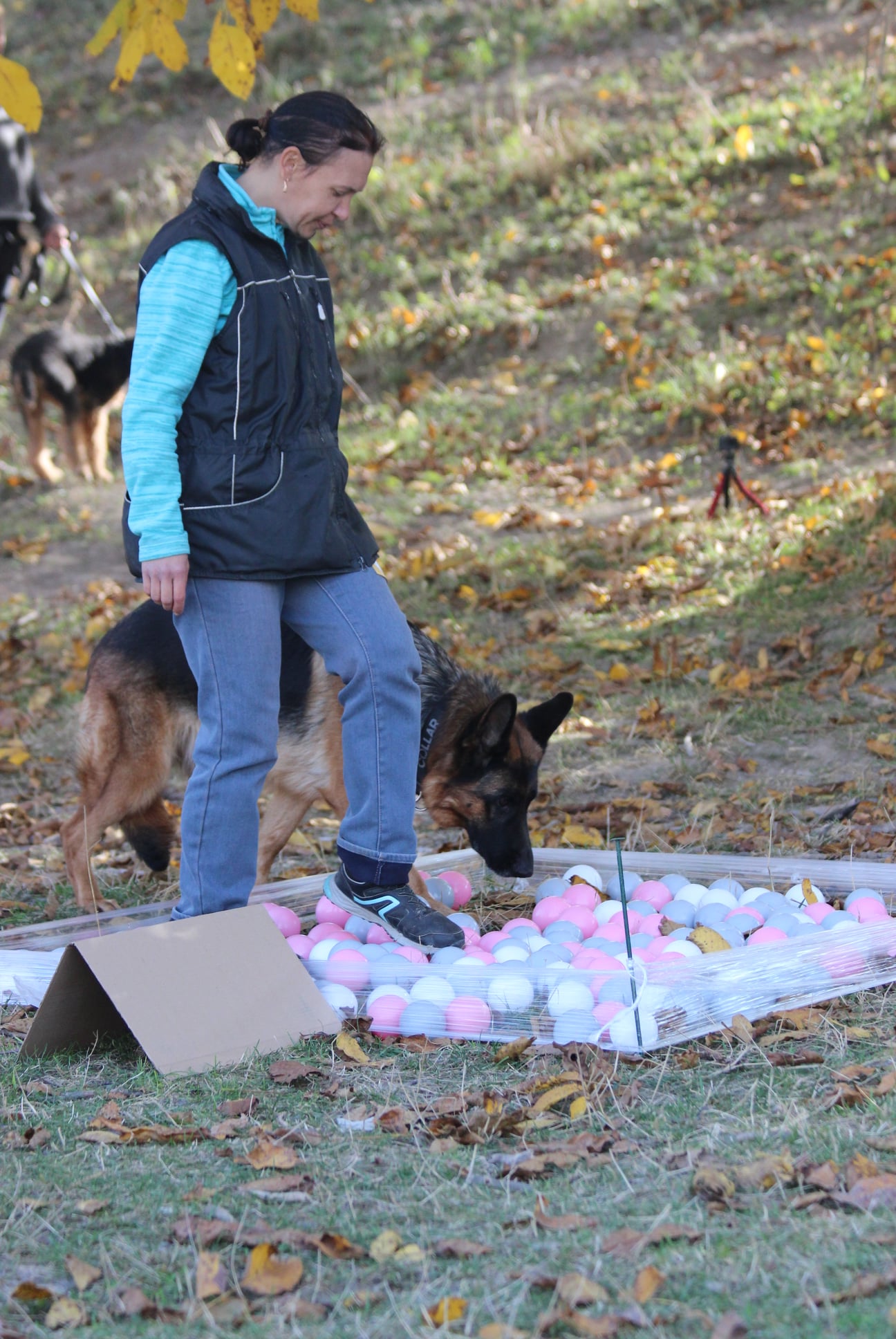 Ralli_OKDens_profi_17.10.21_4.jpg