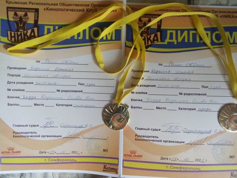 Ralli_OKDens_standart_17.10.21_diplom.jpg