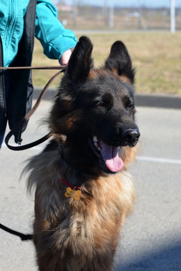Ralli_okdens_29_10_23_foto2.jpg