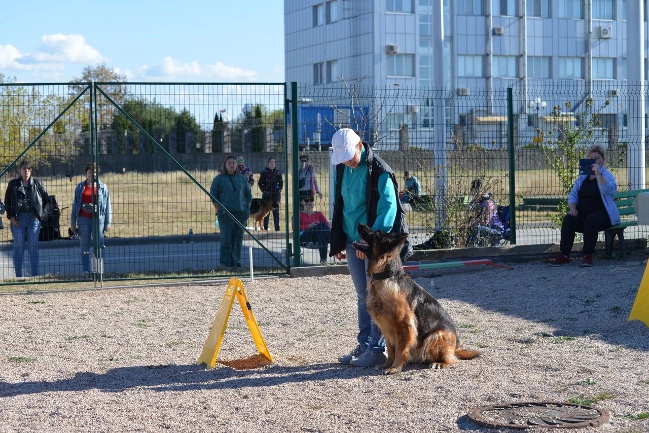 Ralli_okdens_29_10_23_foto5.jpg