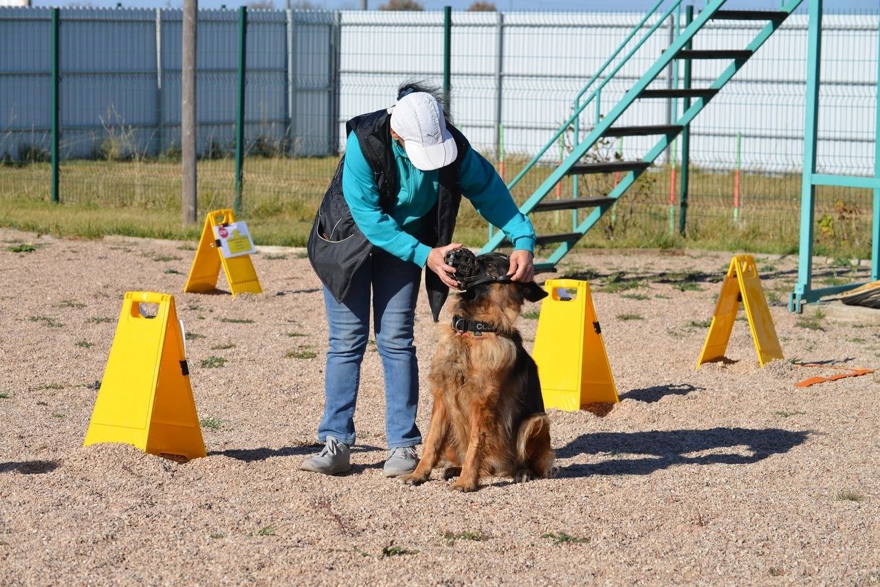 Ralli_okdens_29_10_23_foto7.jpg