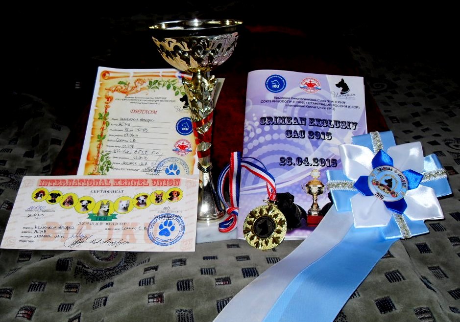 SDC12983.JPG