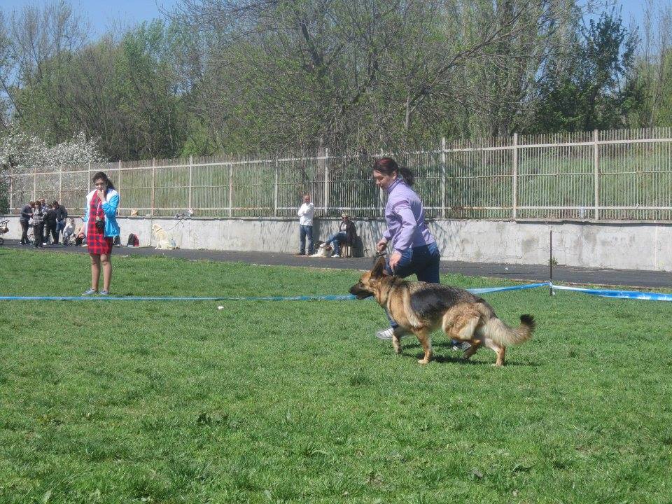 _РКС_16.04.2016_5.jpg